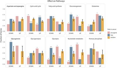 A Resource to Infer Molecular Paths Linking Cancer Mutations to Perturbation of Cell Metabolism